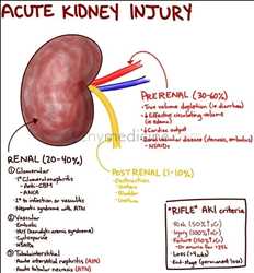 Global Acute Kidney Injury Treatment Market analysis