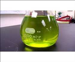 Global Algae Oil Market opportunities