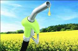 Global Biofuels Past market data