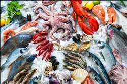 Global Frozen Seafood Market share