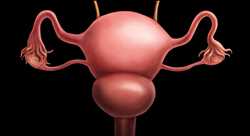 Global Polycystic Ovarian Syndrome Treatment Past market data