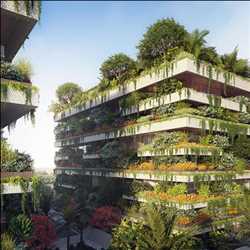 Global Vertical Forest Competition analysis