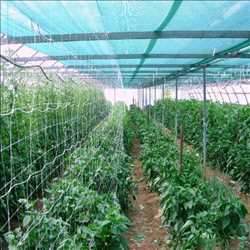 Global Agriculture Nets Market opportunities
