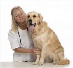 Global Animal Healthcare Market Facts