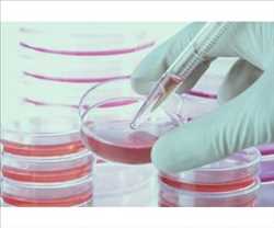 Global Cell And Tissue Culture Supplies Market Facts