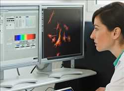 Global Medical Image Analysis Software Market Industry Share