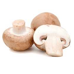 Global Mushroom Market Industry Share