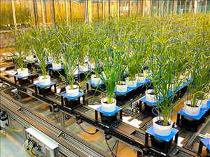 Global Plant Phenotyping Market demand
