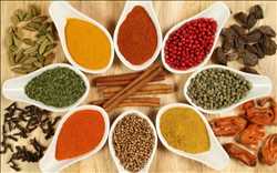 Global Seasonings And Spices Market Future Data