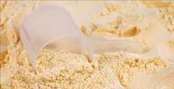 Global Whey Protein production market supply