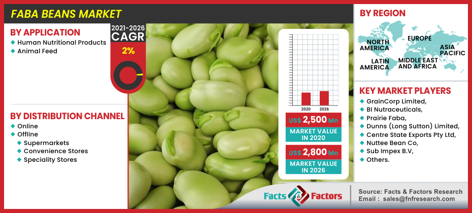 By [2030], Faba Beans Market Insights: New Research Report Predicts Promising Growth, Opportunities, Industry Analysis and Future Projections