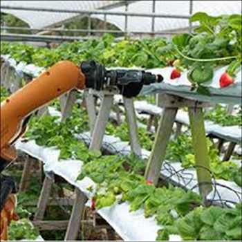 AI in Agriculture Market