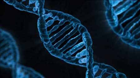 DNA Forensics Market