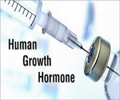 인간 성장 호르몬 시장