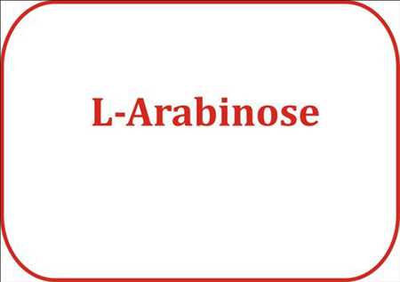 L-Arabinose Market