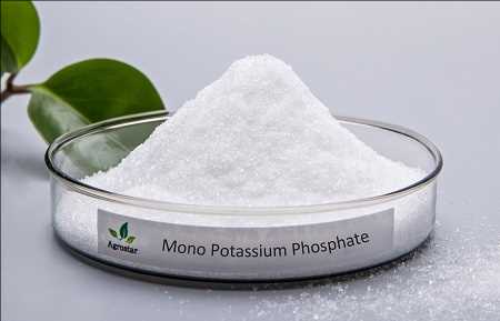 Mono-Potassium Phosphate Market
