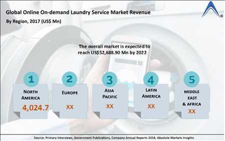 Online On-Demand Laundry Market