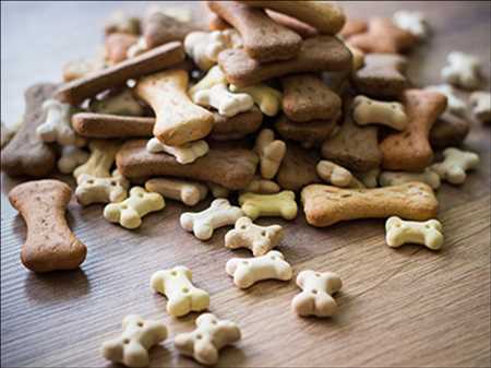 Pet Food Treats Market