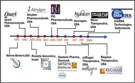 RNAi for the Therapeutics Market