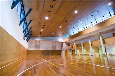 Sports Flooring Market