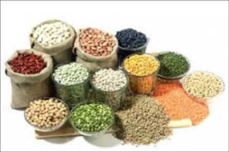 Vegetable Seeds Market