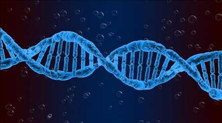 바이러스 벡터 및 플라스미드 DNA 제조 시장