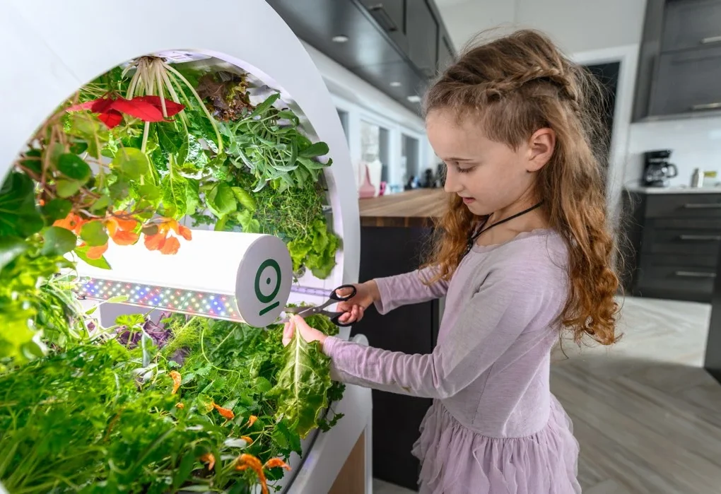 smart-indoor-garden-market