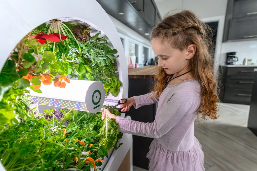 smart-indoor-garden-market